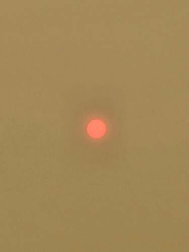 Sun3