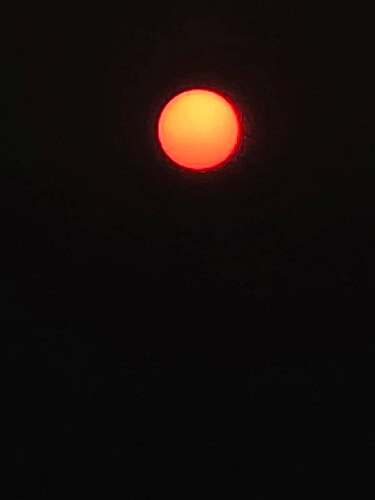Sun2